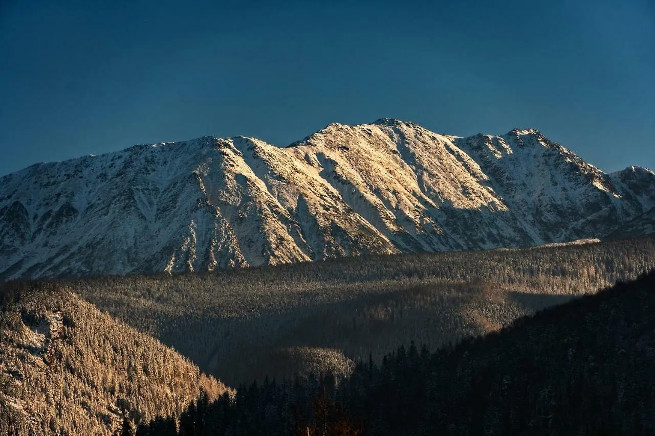 Apartament Zakopane Apartment